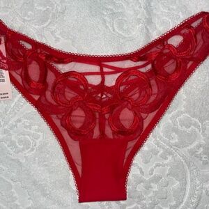 Victoria’s Secret Embroidered Brazilian Panty
